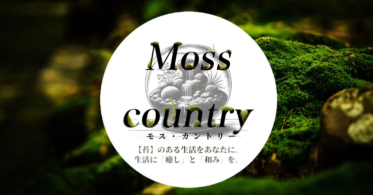 MOSS COUNTRY - 北海道の苔テラリウム専門店