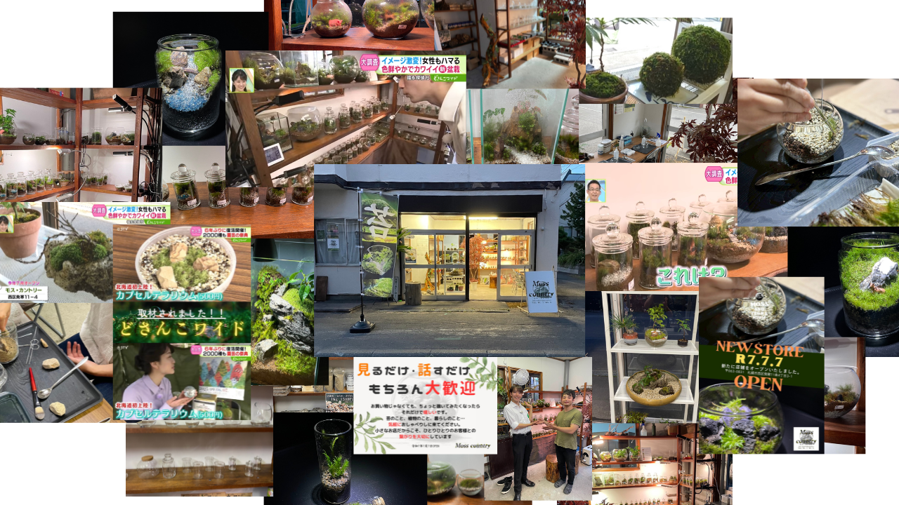店舗の様子